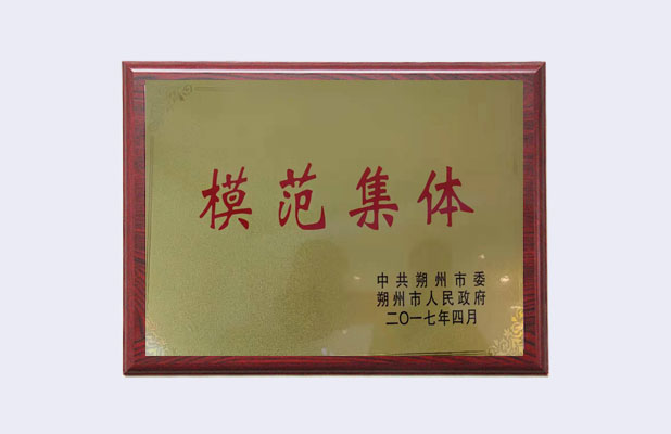荣誉证书三